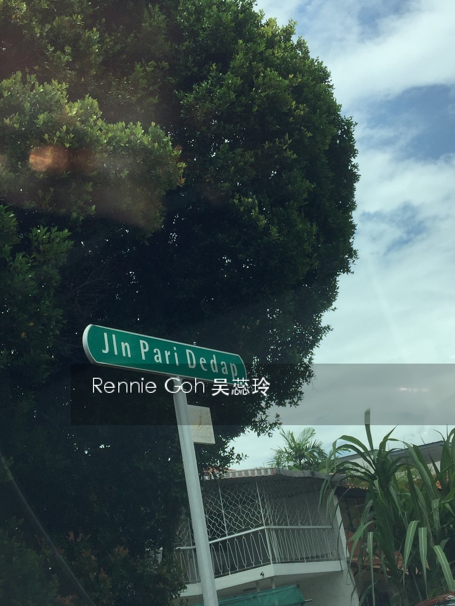 Peakview Estate (D16), Semi-Detached #154223142